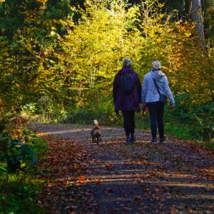 Walking exercise for improving back health and mobility