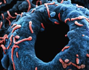 Black Death medieval plague pandemic and its historical impact